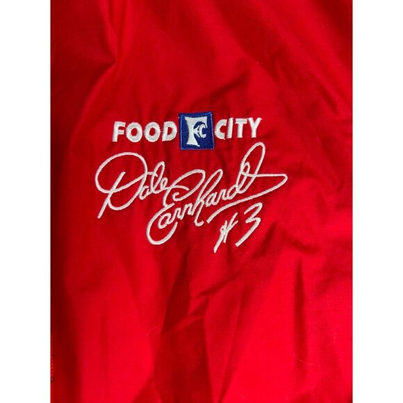 Dale Earnhardt NASCAR Food City 50th Anniversary Vintage Jacket Coat Gorpcore XL - Picture 3 of 12